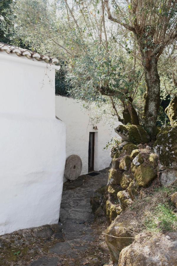 Serra Vida - A Place Of Presence Santo António das Areias Exterior foto